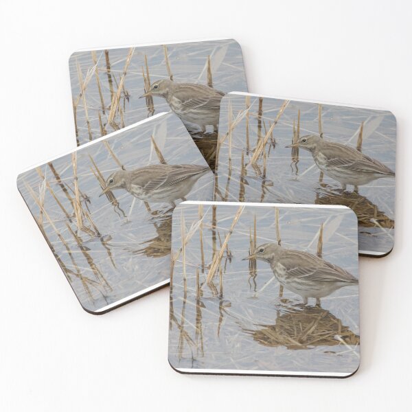 Item preview, Water Pipit designed and sold by LaurenTucker.