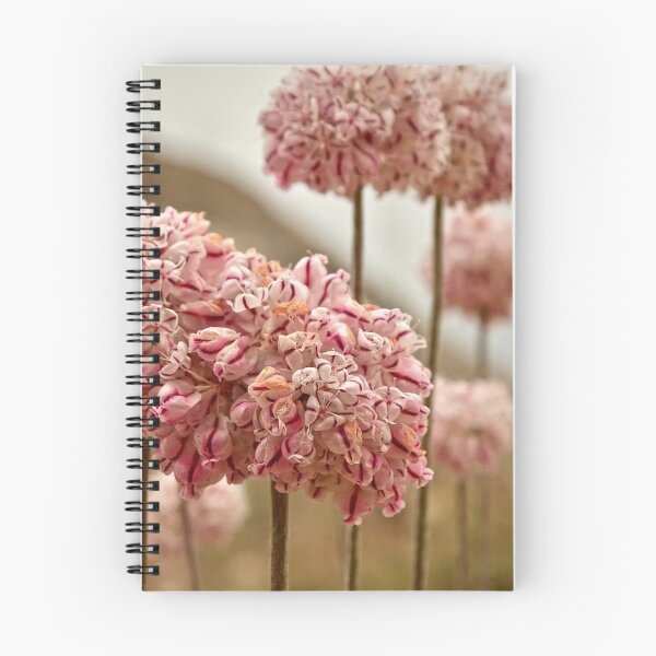 Item preview, eriogonum fasciculatum - a curious buckwheat designed and sold by Jeremy Buck.