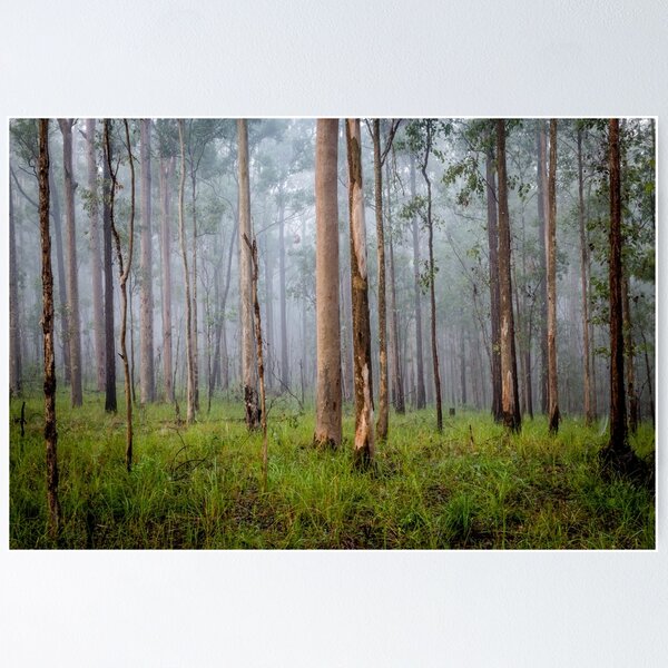 Item preview, Into The Mist designed and sold by Keith's Photo Artistry.