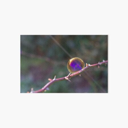 Soap Film - The iridescent colours of soap film - Bubble on Rose Thorn Art Board Print