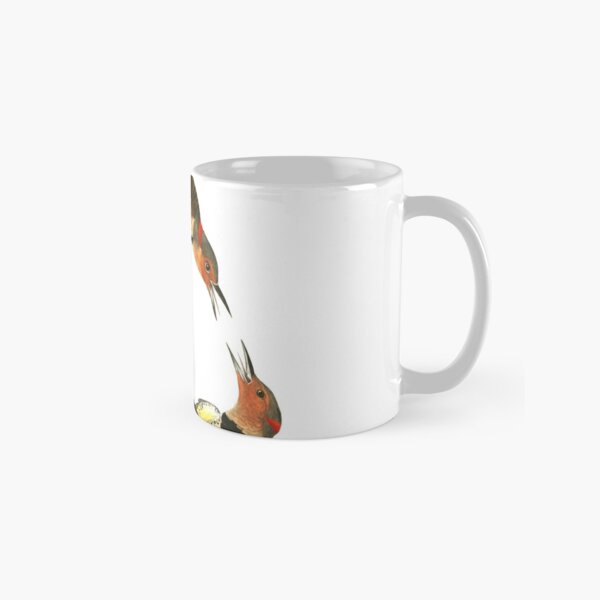 Ideal Gift Black Oystercatcher Fine Mug /Cup John James Audubon