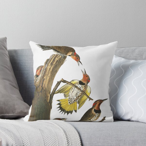 Item preview,  Northern Flicker - John James Audubon  designed and sold by billythekidtees.
