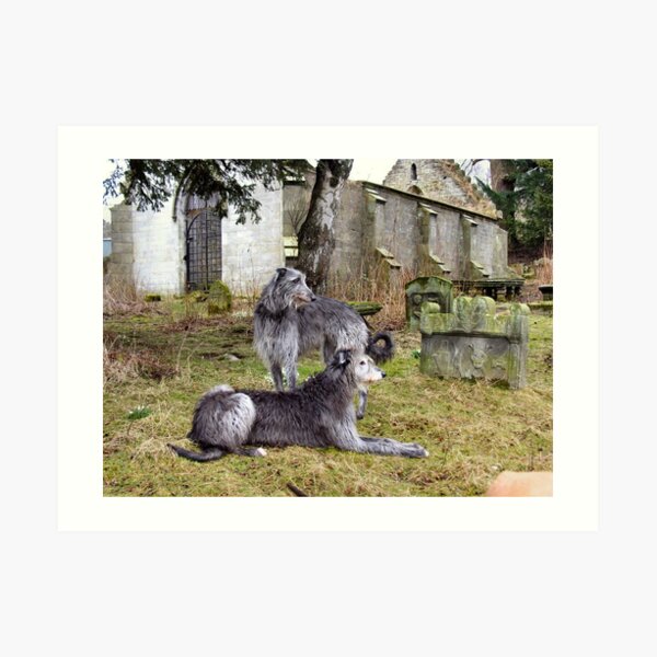 deerhound song Art Print