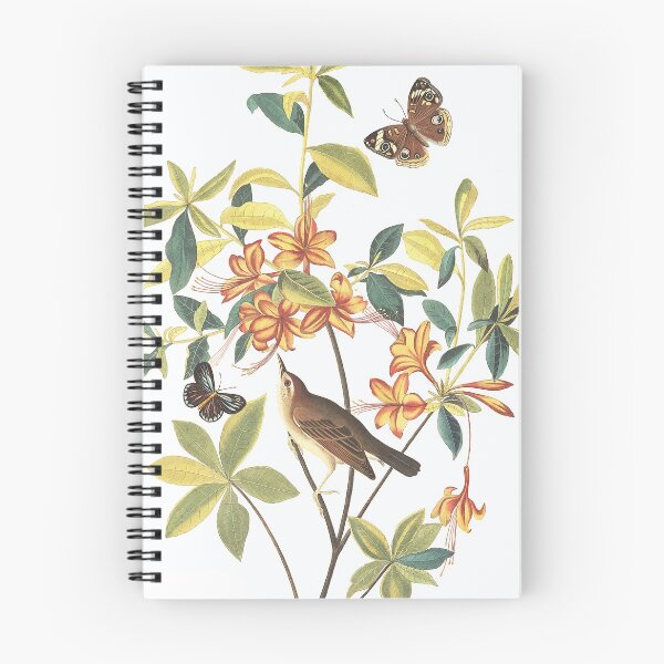 Item preview,  Swainson's Warbler - John James Audubon designed and sold by billythekidtees.