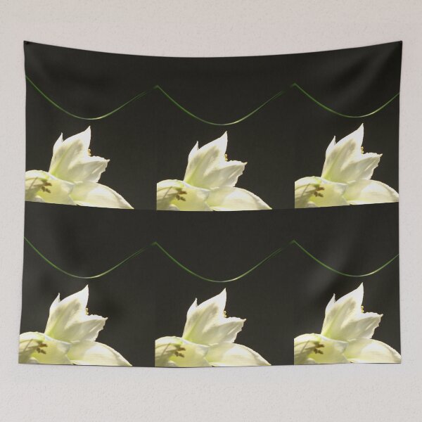 Item preview, Amaryllis No 29 designed and sold by ArtOfE.