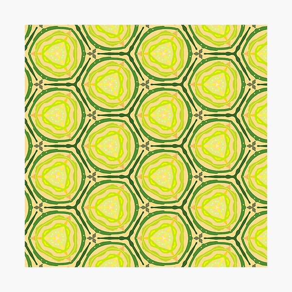 Ozcs Photographic Print
