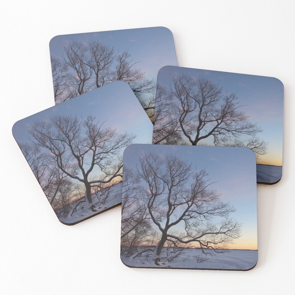 Item preview, Coasters (Set of 4) designed and sold by Göran Andersson.
