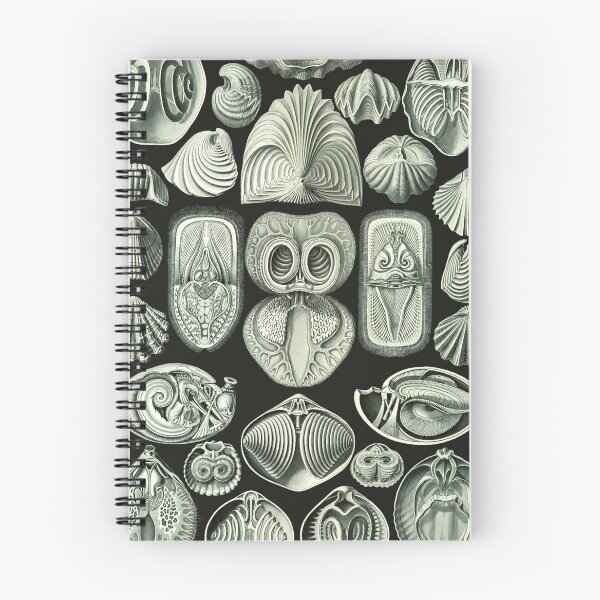 Item preview, Ernst Haeckel - Spirobranchia designed and sold by ShaMiLaB.