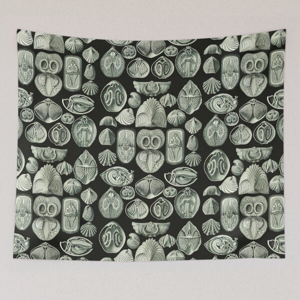 Item preview, Ernst Haeckel - Spirobranchia designed and sold by ShaMiLaB.