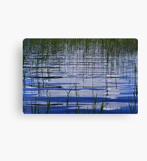 Water & Reeds Canvas Print