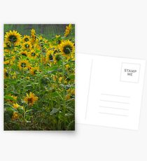 Stand tall Postcards