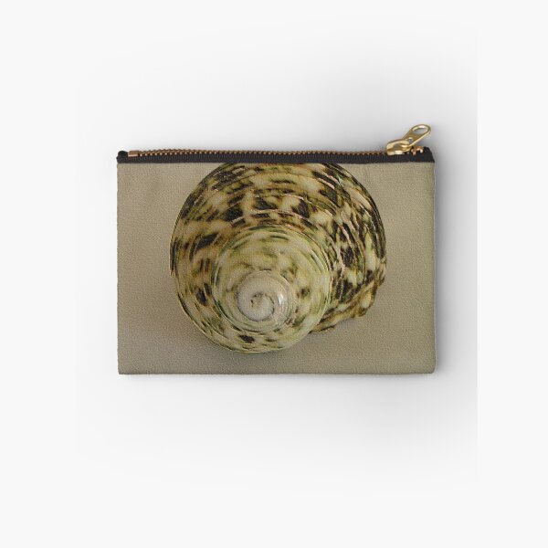 Item preview, Shell still life designed and sold by patjila.