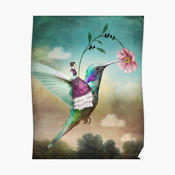 The Hummingbird (6 of wands) Poster