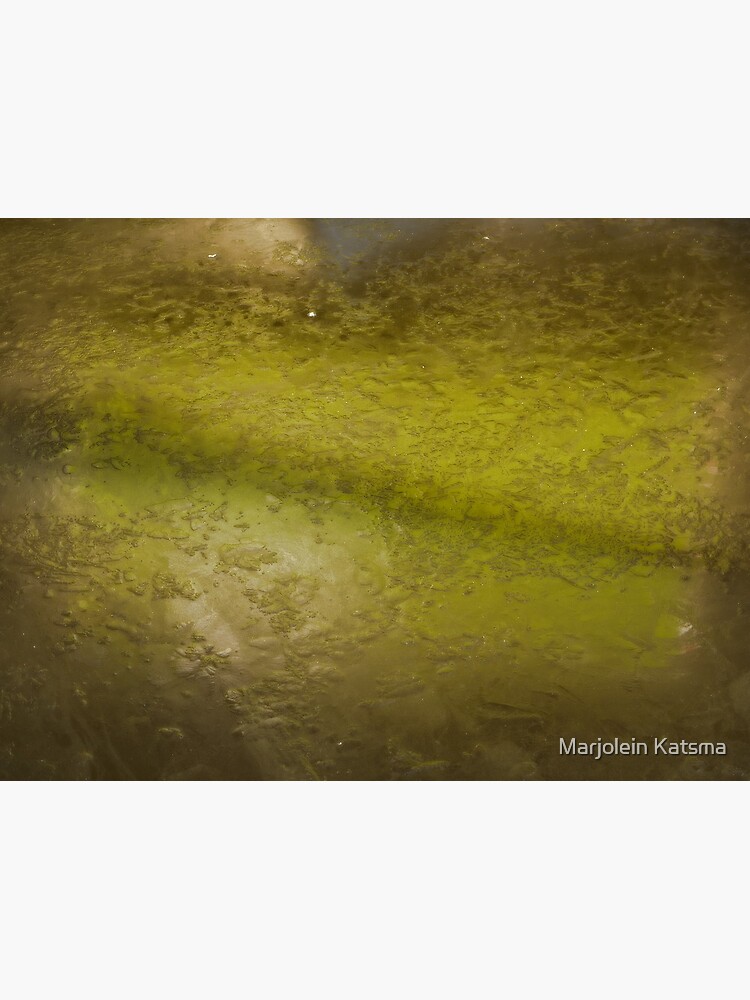 Crushed (green) by marjoleink