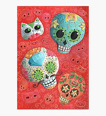 Colourful Sugar Skulls Photographic Print