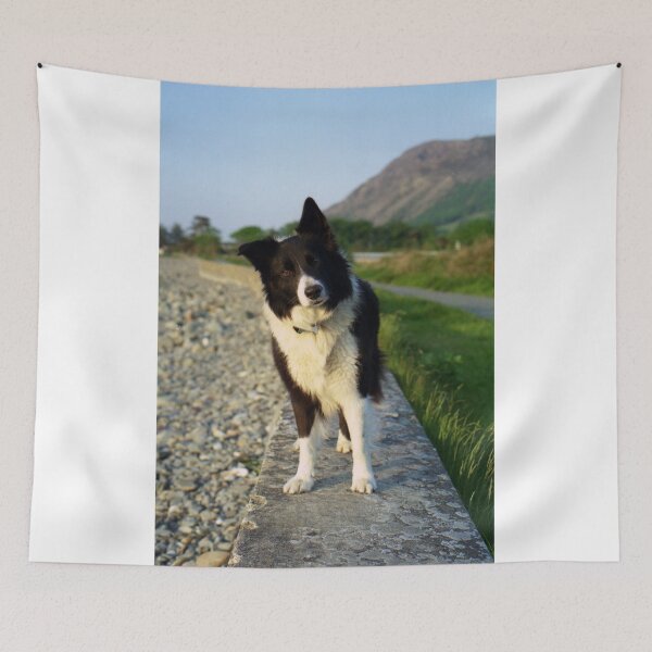 Item preview, "What's Up?" designed and sold by Michael Haslam.
