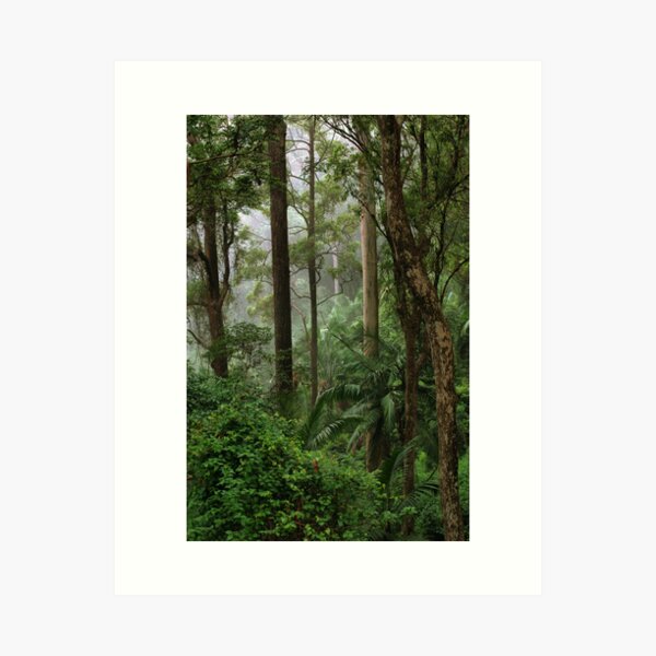 Item preview, Rainforest designed and sold by Trixie Loesche.