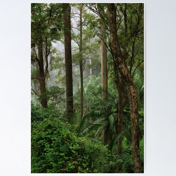 Item preview, Rainforest designed and sold by Trixie Loesche.