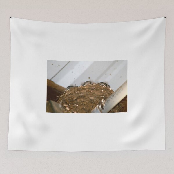 Item preview, Baby Barn swallows... designed and sold by RichImage.