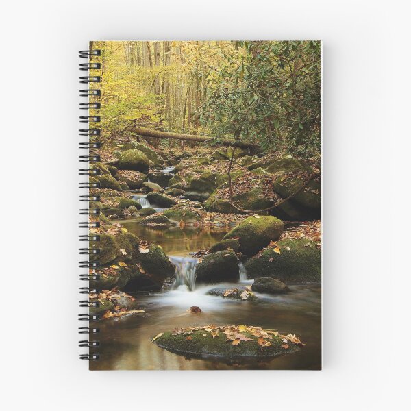 Item preview, leaves of rock designed and sold by dc witmer.