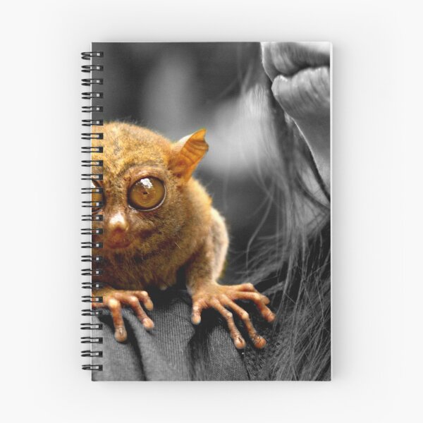 Item preview, tarsier, selected designed and sold by lensbaby.