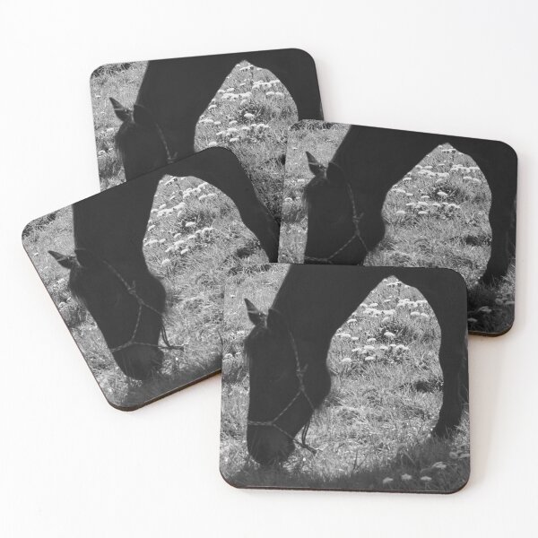 Item preview, Grazing..  B&W designed and sold by RichImage.