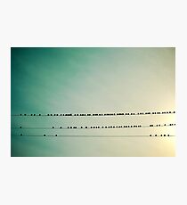 Resting Place Photographic Print