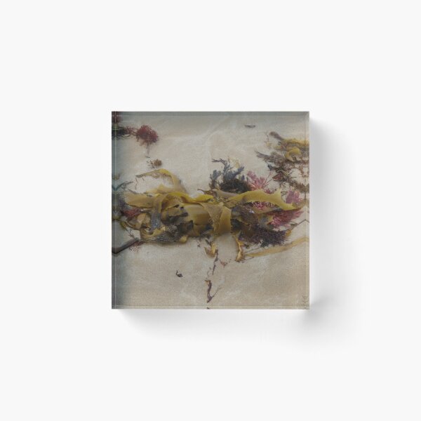 Item preview, Seashore Ikebana 12 designed and sold by beeden.