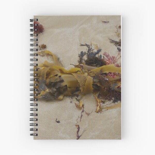 Item preview, Seashore Ikebana 12 designed and sold by beeden.