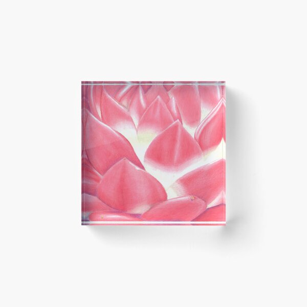 Item preview, Echeveria agavoides designed and sold by Disasterisms.