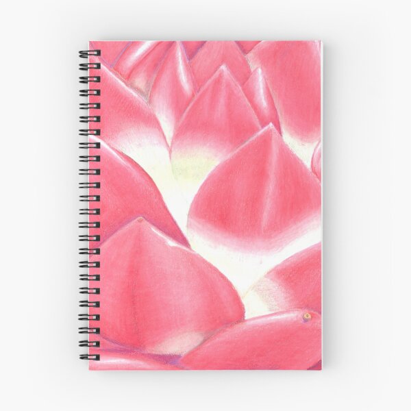 Item preview, Echeveria agavoides designed and sold by Disasterisms.