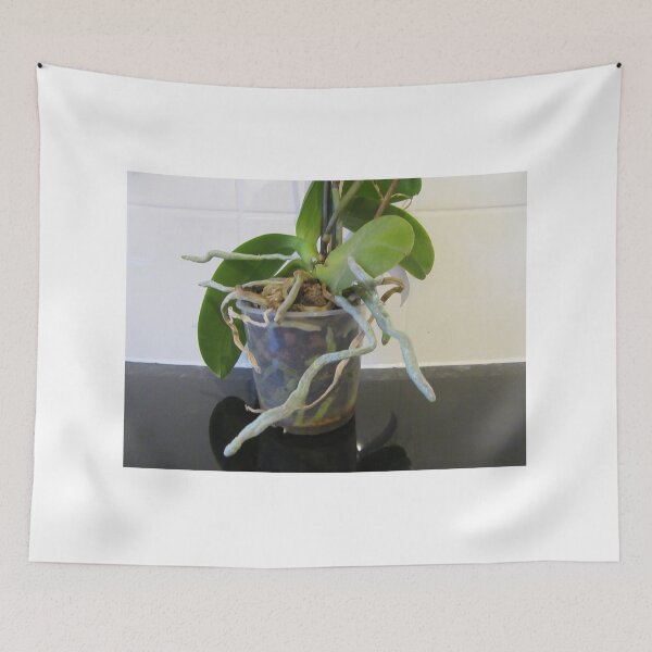 Item preview, Blue Roots  (Orchid) designed and sold by lezvee.