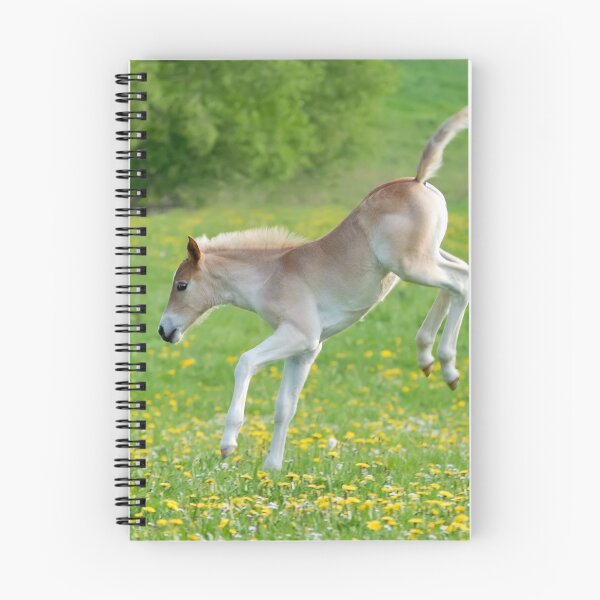 Item preview, Haflinger foal frolicking designed and sold by Katho Menden.
