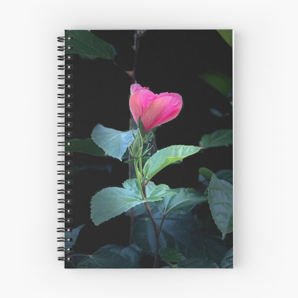 Item preview, By Its Grace  designed and sold by terzaekholm.