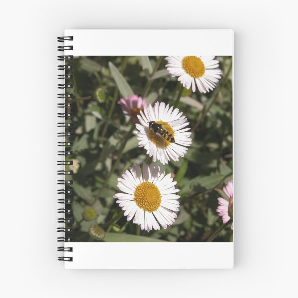 Item preview,  Native bee in my garden,Tumut, Australia. designed and sold by kaysharp.