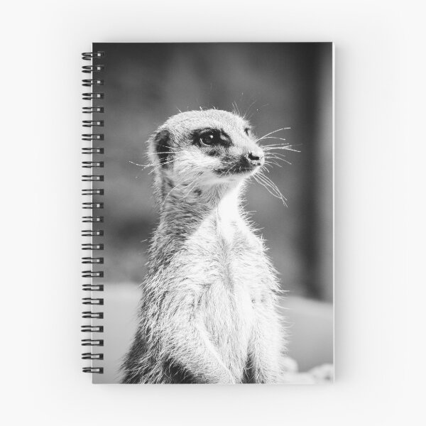 Item preview, Meerkat in Cologne designed and sold by CRGArtDesign.