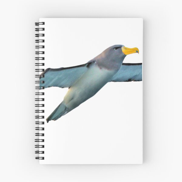 Item preview, Chatham Albatross on the Wing designed and sold by Geoffrey Higges.