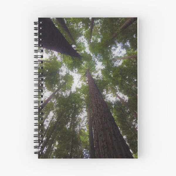 Item preview, Redwood Canopy designed and sold by mountainpics.