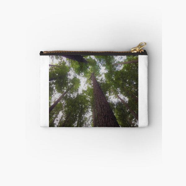 Item preview, Redwood Canopy designed and sold by mountainpics.