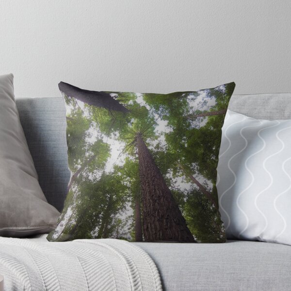 Item preview, Redwood Canopy designed and sold by mountainpics.