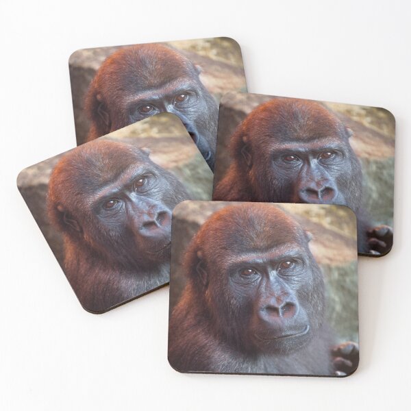 Item preview, Gorilla Lope Portrait designed and sold by rawshutterbug.
