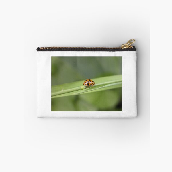 Item preview, Ladybird going for a walk,Tumut, Australia. designed and sold by kaysharp.