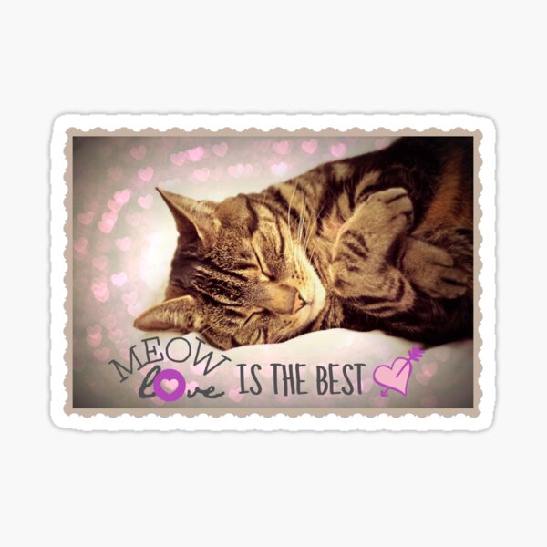 Meow Love is the Best Sticker
