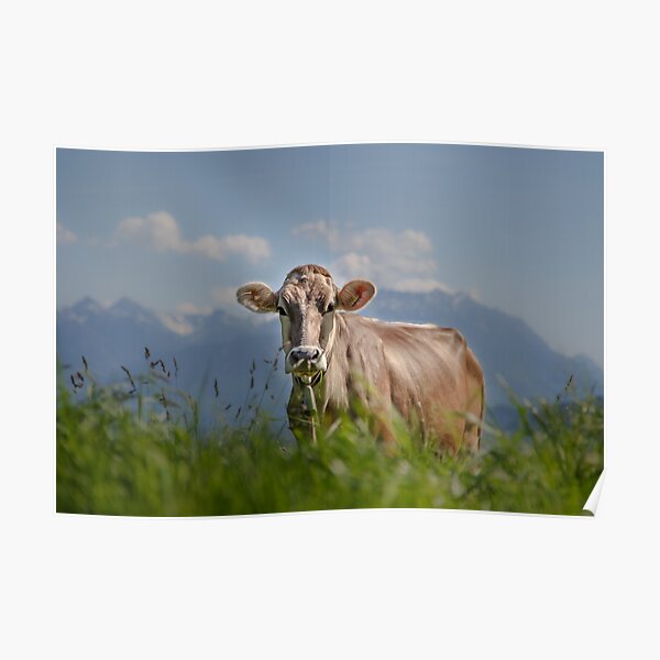 Beobachte, wie du mich beobachtest Poster
