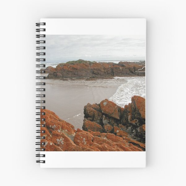 Item preview, The lichen covered rocks at Arthur River, Tasmania, Australia. designed and sold by kaysharp.