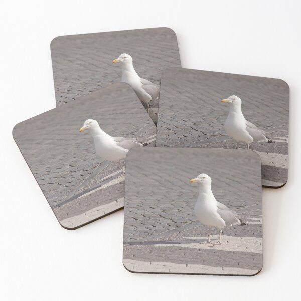 Item preview, Herring gull on a zebra crossing designed and sold by Göran Andersson.