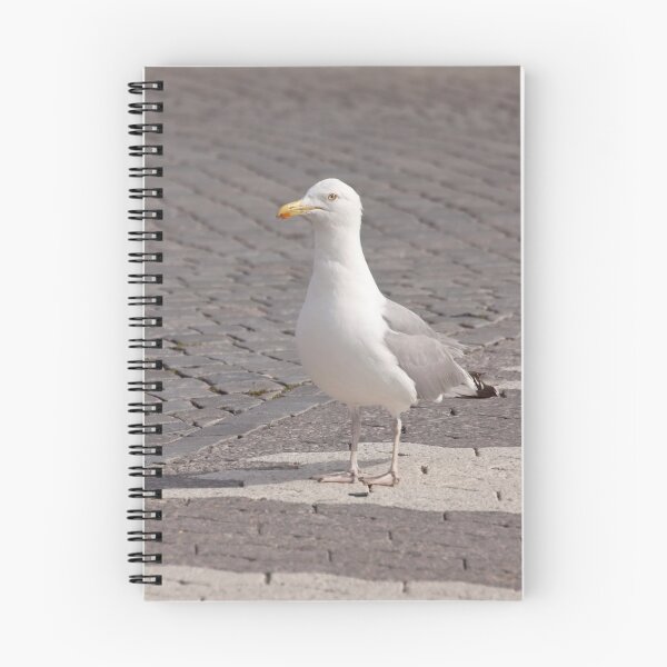 Item preview, Herring gull on a zebra crossing designed and sold by Göran Andersson.