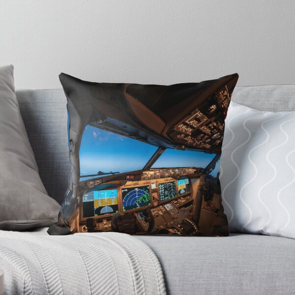 https://ih1.redbubble.net/image.721341657.1646/throwpillow,small,600x-bg,f8f8f8-c,0,120,600,600.u1.jpg