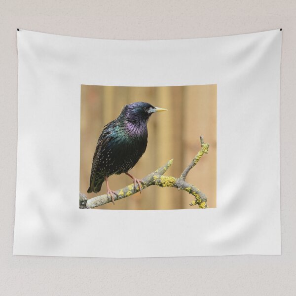 Item preview, Starling designed and sold by Holmewood.