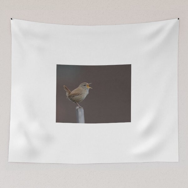 Item preview, Wren designed and sold by Holmewood.